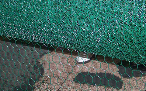 Hexagonal Wire Mesh