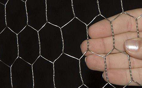 Hexagonal Wire Mesh