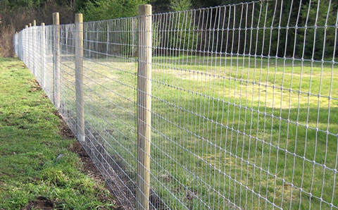 Grassland Fence